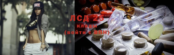 амф Алзамай