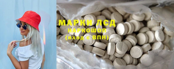 амф Алзамай