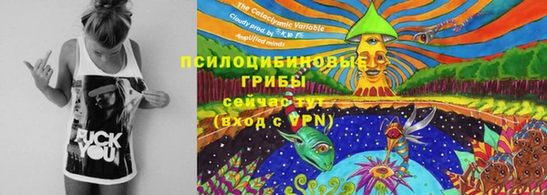прущие крисы Алексеевка