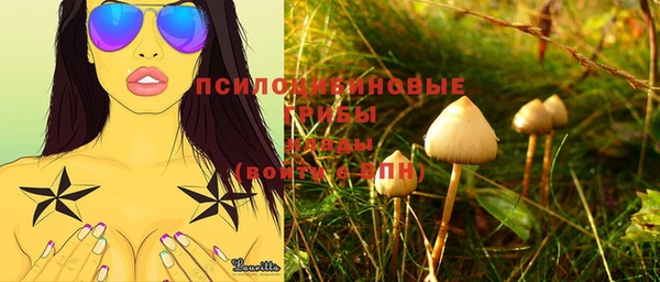 прущие крисы Алексеевка