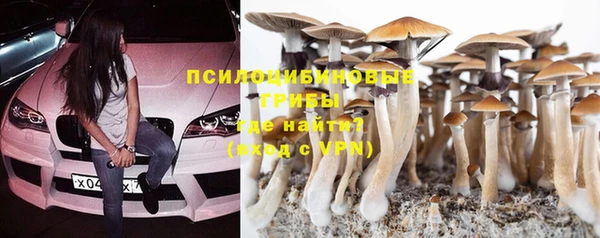 прущие крисы Алексеевка